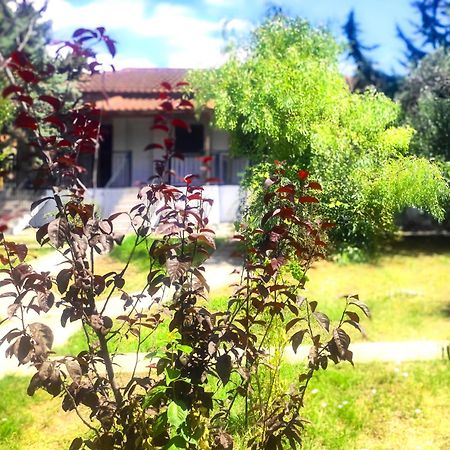 Vergia Studios Sozopoli Exterior foto